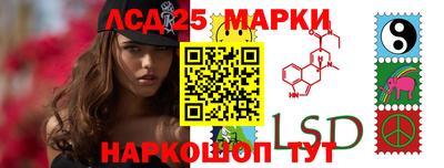 гидра Новодвинск