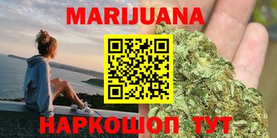 индика Новозыбков