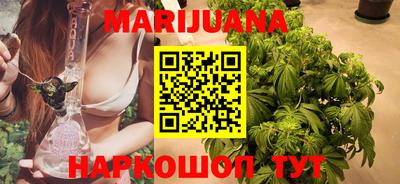 индика Новозыбков