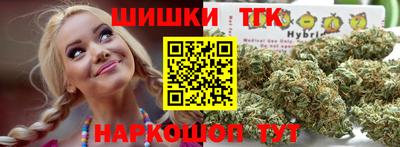 индика Новозыбков