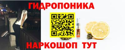 гидра Новодвинск
