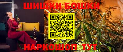 гидра Новодвинск