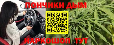 индика Новозыбков