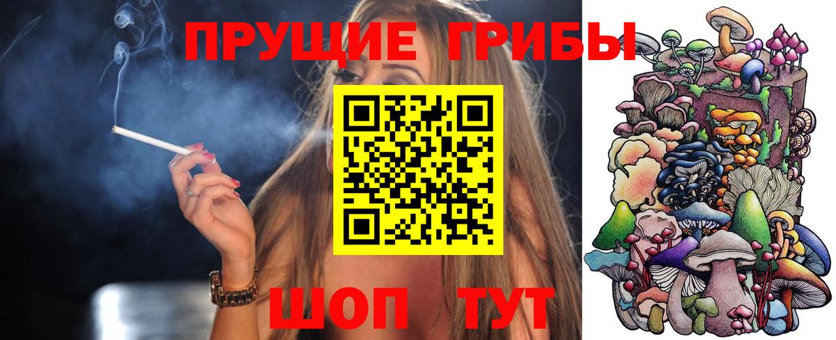 Галлюциногенные грибы Cubensis Туапсе